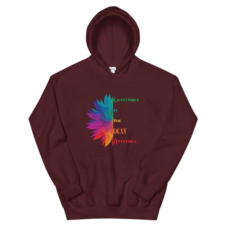 Hooded Sweatshirt (Gratitude is the BEST Attitude)