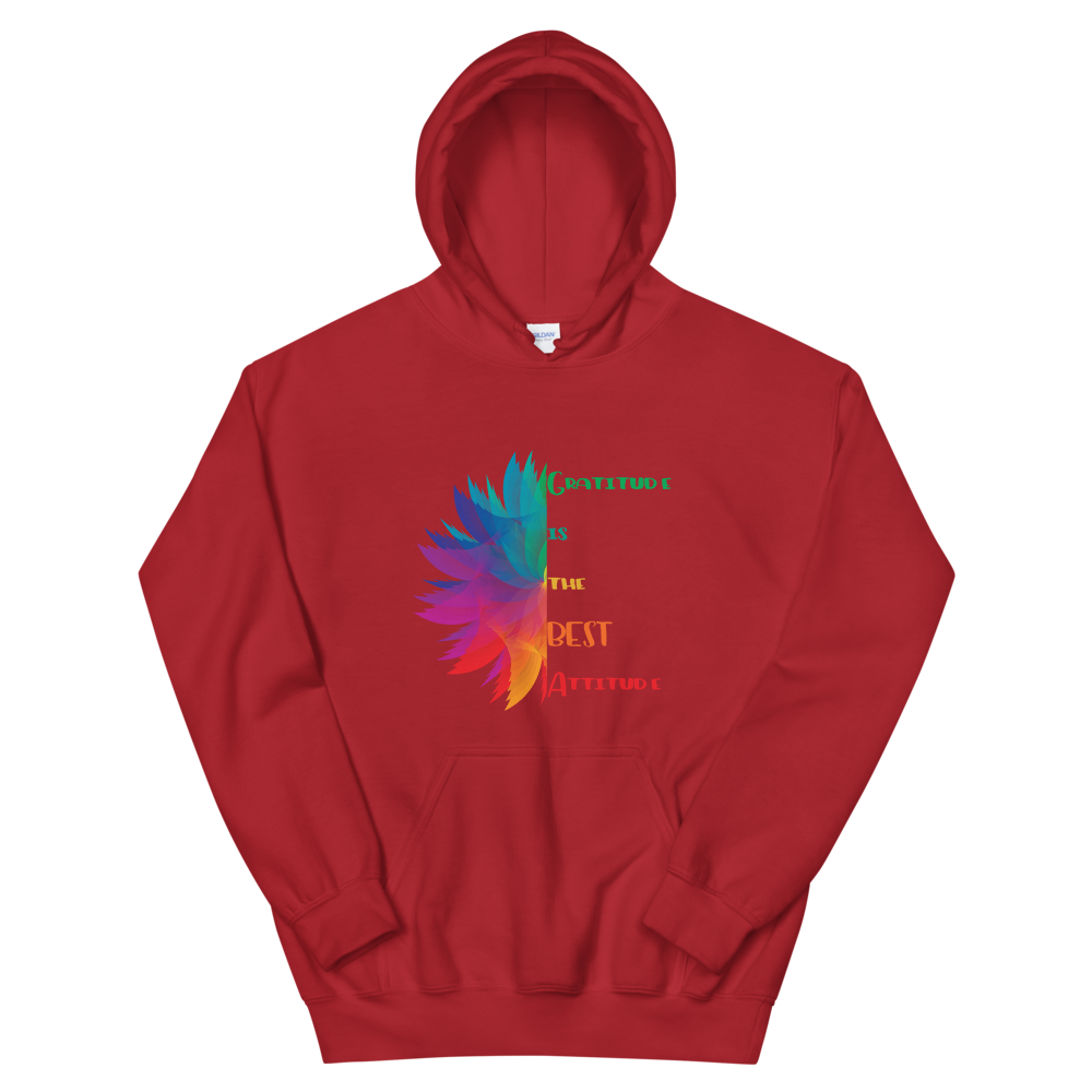 Hooded Sweatshirt (Gratitude is the BEST Attitude)