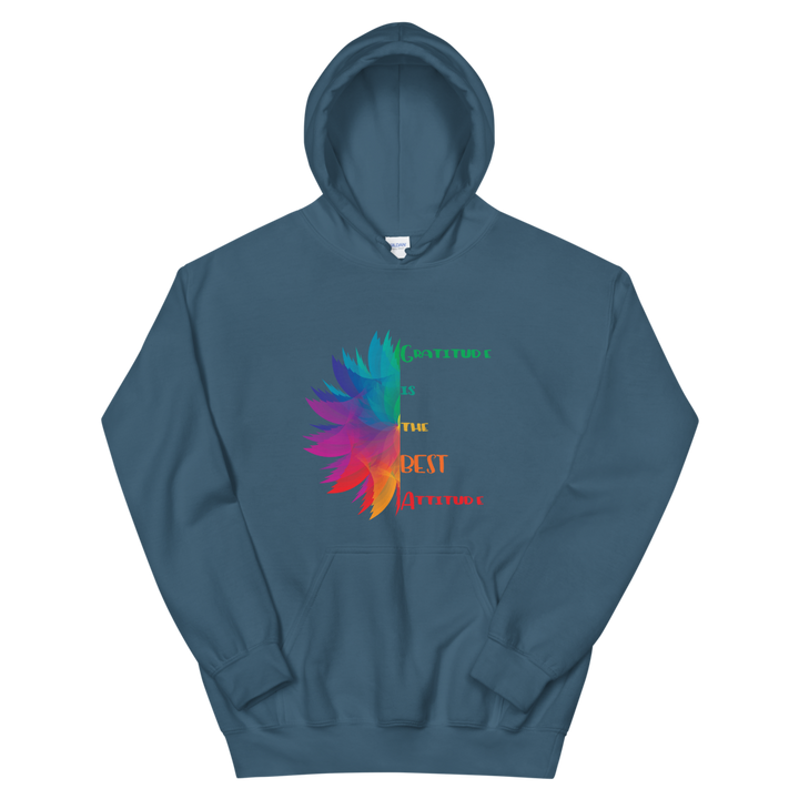 Hooded Sweatshirt (Gratitude is the BEST Attitude)